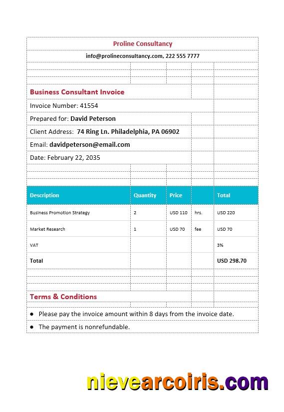 Business Consultant Invoice.